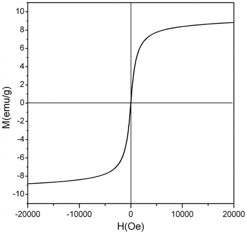 Superparamagnetic nanosphere and preparation method thereof