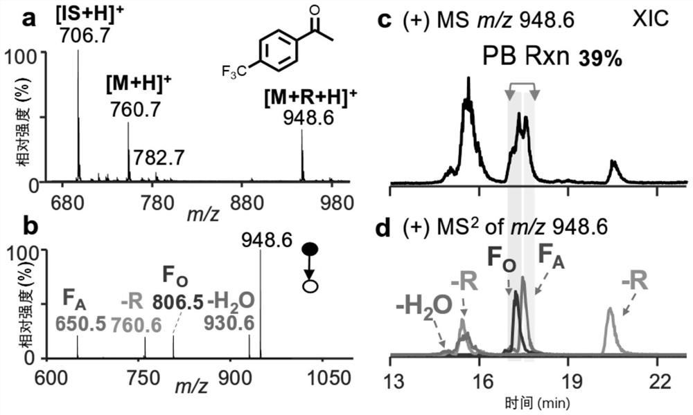 Acetophenone Derivatives Applied to Unsaturated Lipid Analysis Method