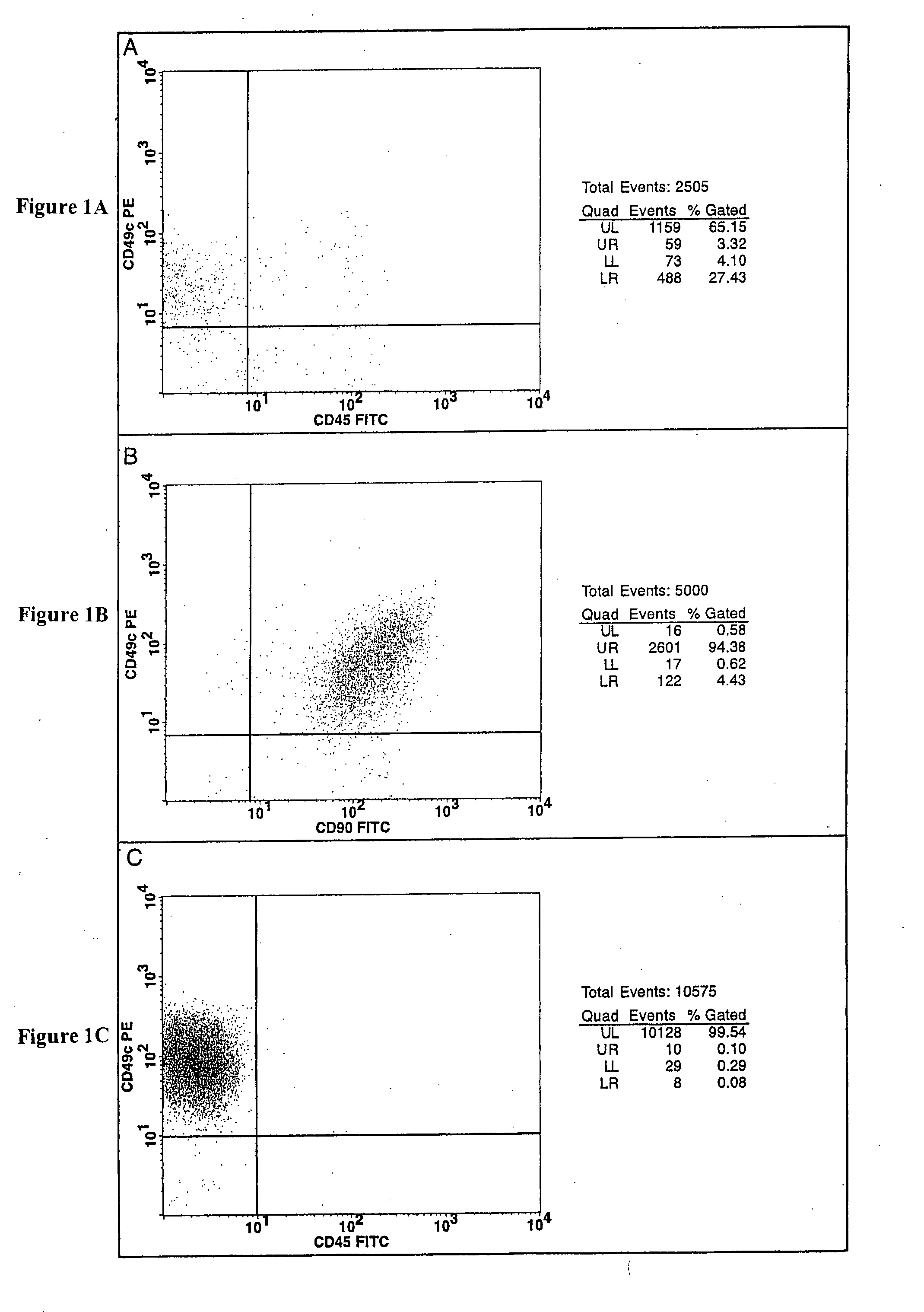 Cell populations which co-express CD49c and CD90