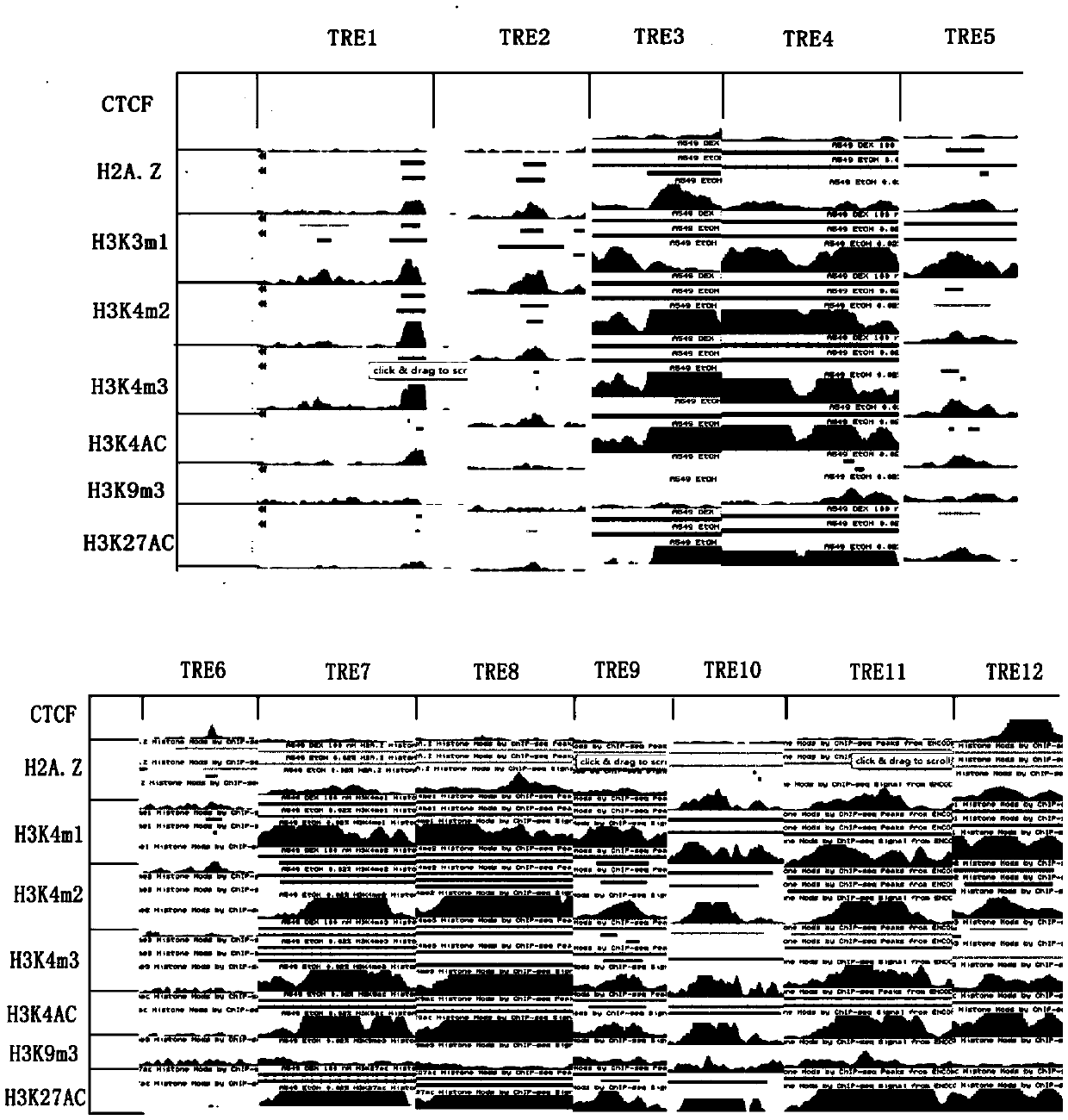 Screening method of lung cancer specific transcription regulation and control element