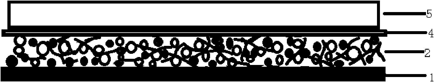 Lithium sulfur battery provided with adsorption layer