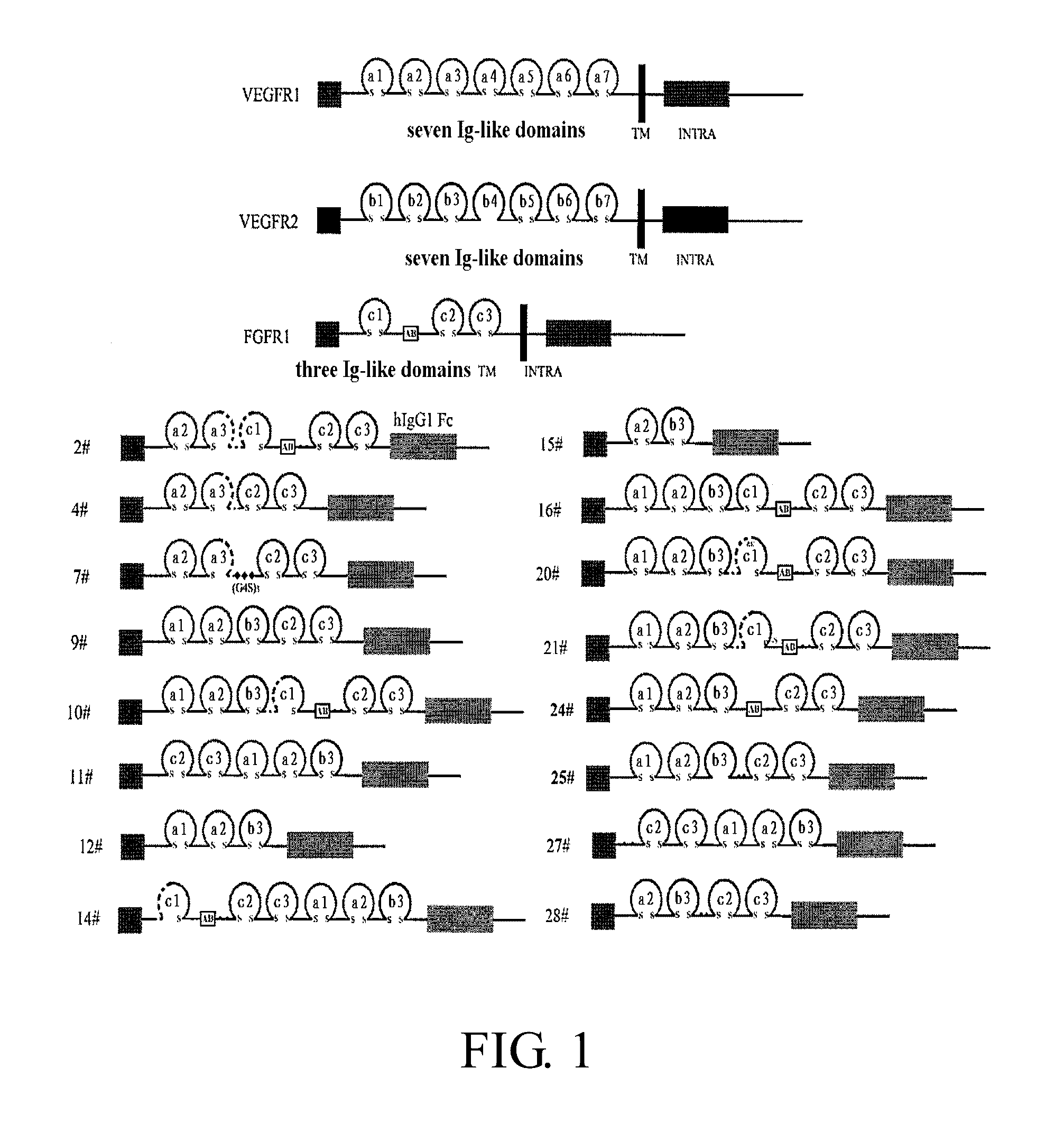 Fusion protein for antagonizing angiogenesis inducible factors and uses thereof