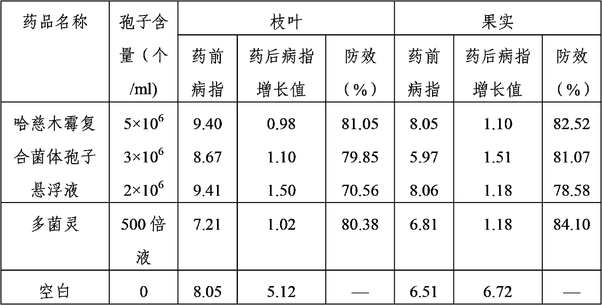 Composite microbial bactericide, and preparation method and application thereof