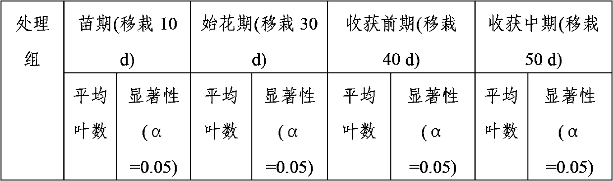 Composite microbial bactericide, and preparation method and application thereof