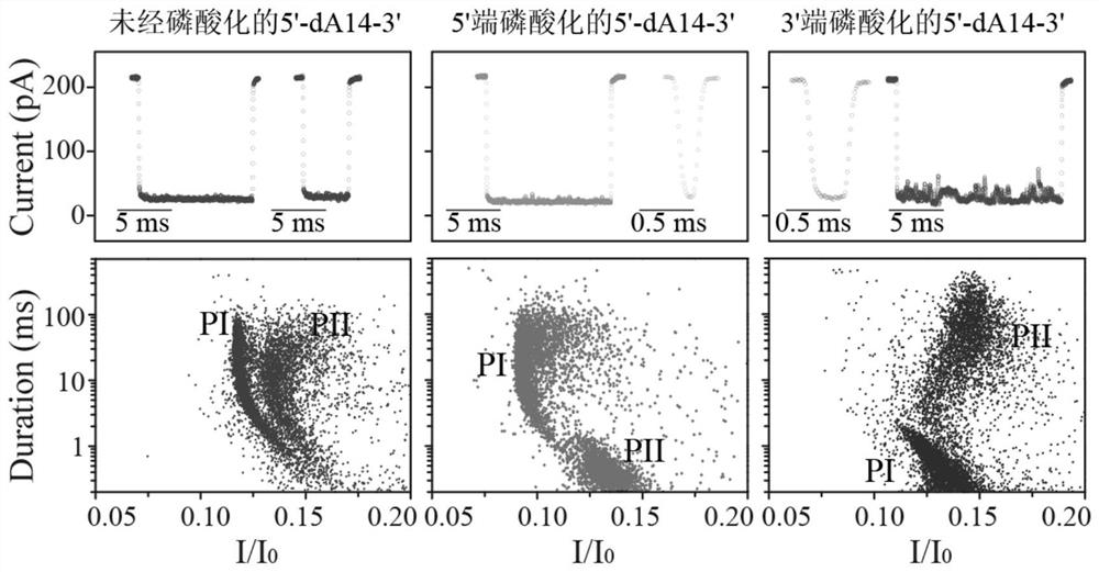 Application of Aerolysin Nanopore Channels in Biophosphorylation and Related Enzyme Analysis