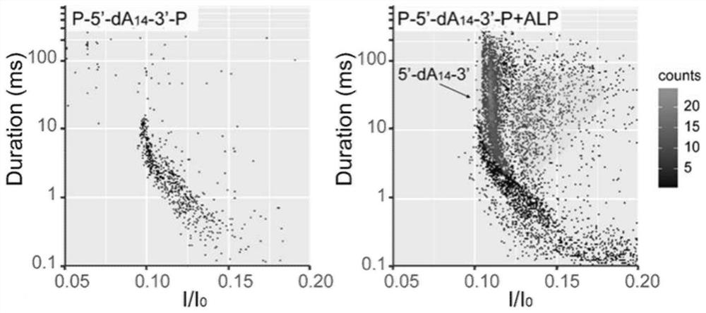 Application of Aerolysin Nanopore Channels in Biophosphorylation and Related Enzyme Analysis