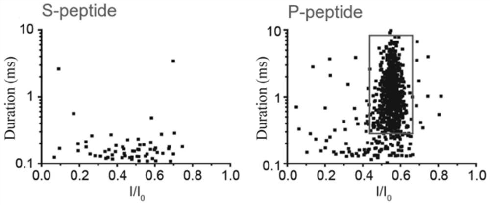 Application of Aerolysin Nanopore Channels in Biophosphorylation and Related Enzyme Analysis