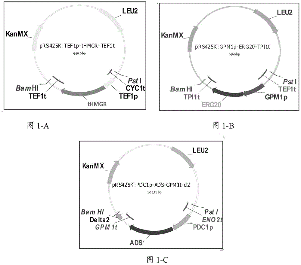 Recombinant eukaryotic strain for generating amorphadiene and method for preparing amorphadiene with recombinant eukaryotic strain