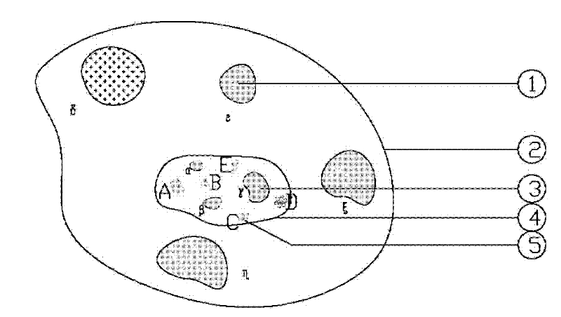 Aquatic plant space construction system for water body purification