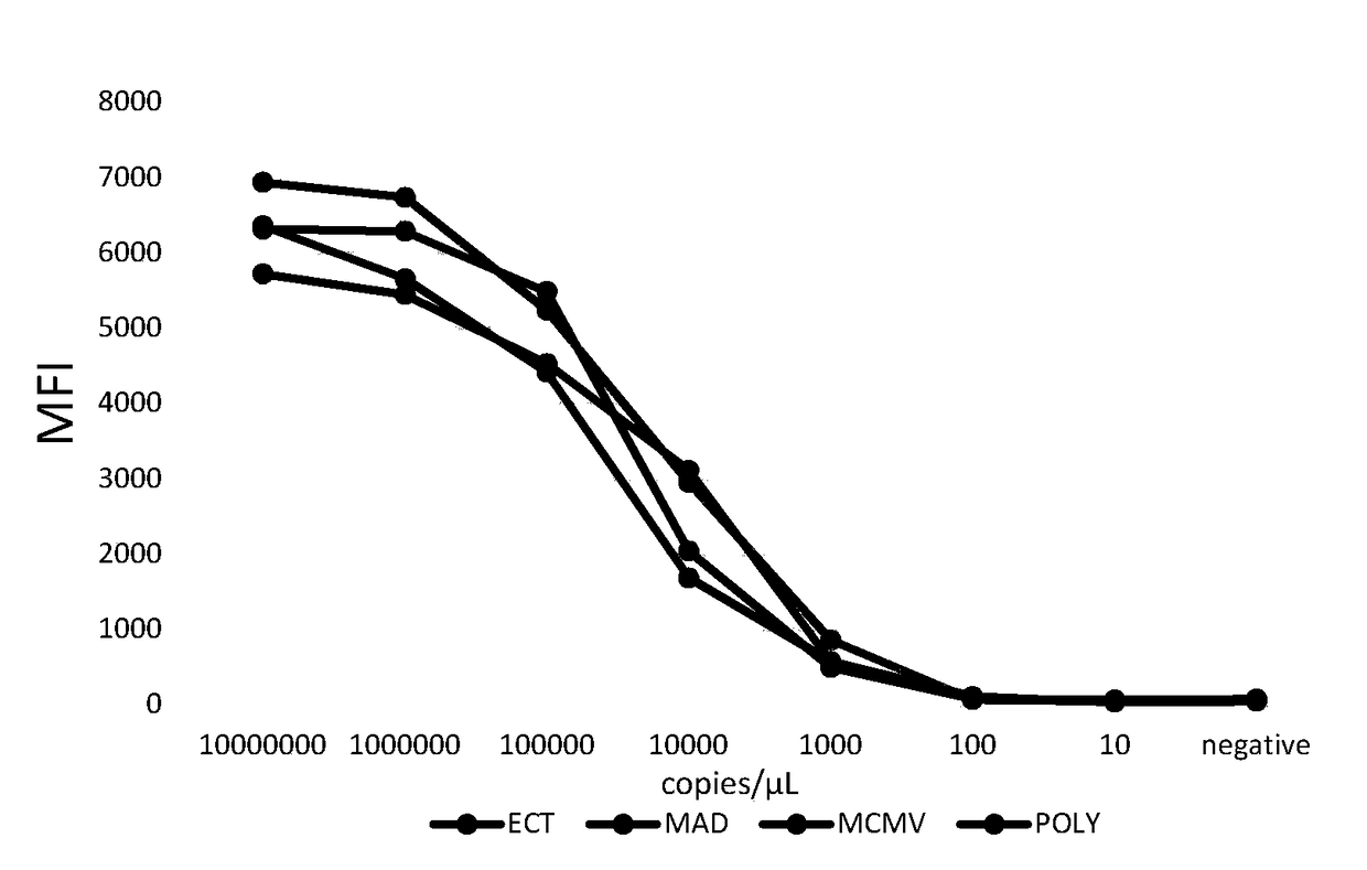 A multiplex fluorescent gene detection method for rapidly distinguishing ect, mad, mcmv, poly