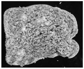 A strain of Lactobacillus plantarum lb-1 and its application