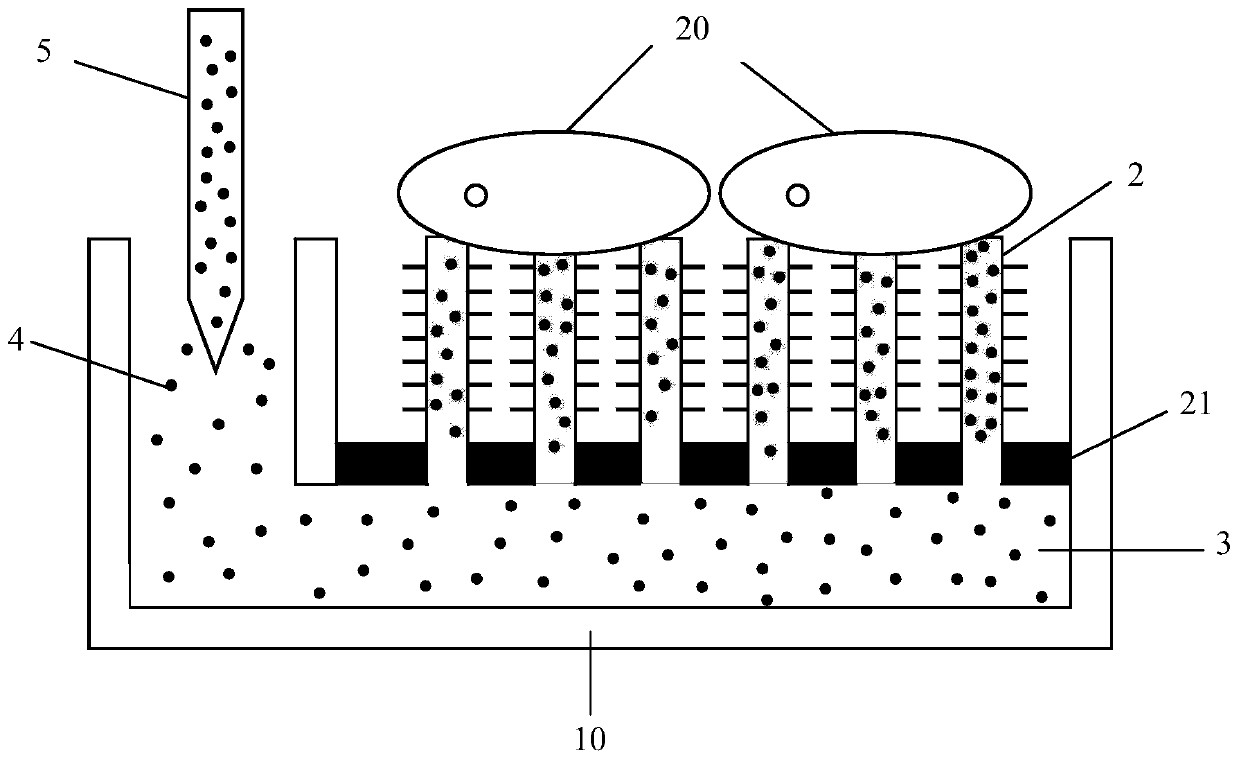 Preparation method of dendritic nanotube array, method for identifying tumor cells, and microfluidic device for capturing and in situ regulating cancer cells