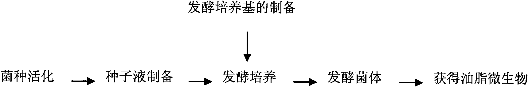 Method for producing oil by mixed culture of yeast and alga