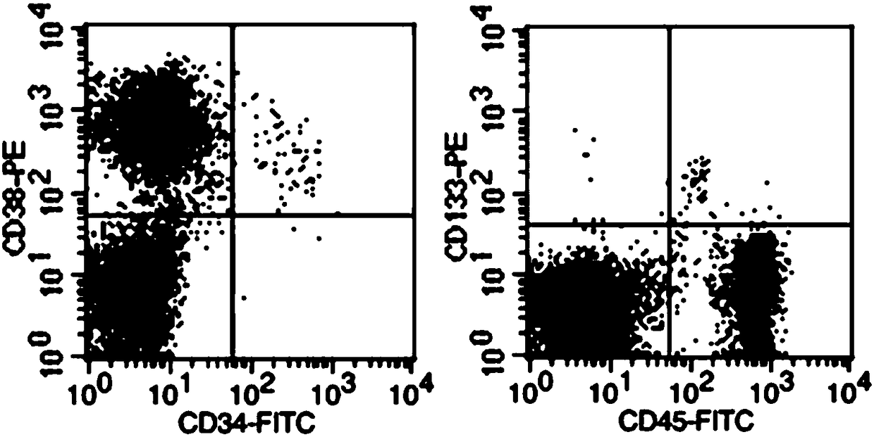 Fast separation method for placenta hematopoietic stem cells