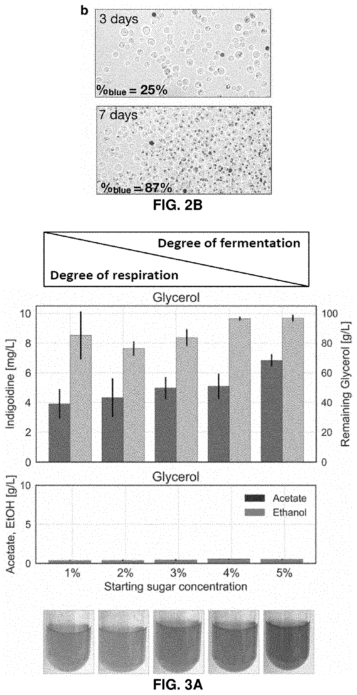 Host yeast cells and methods useful for producing indigoidine