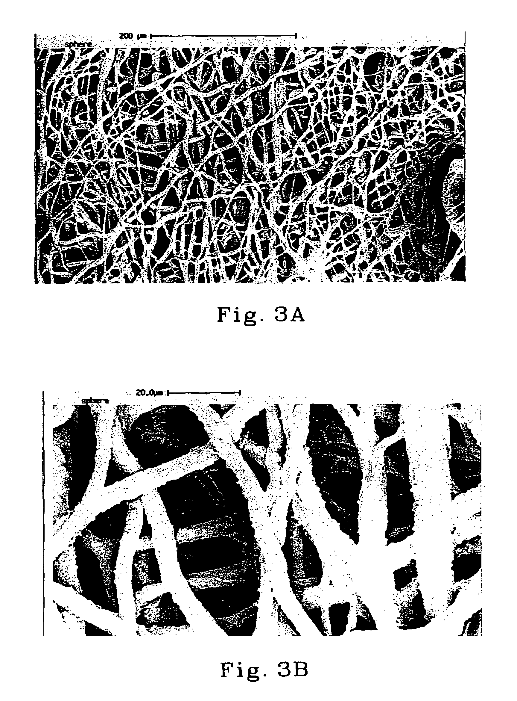 Melt processable starch composition