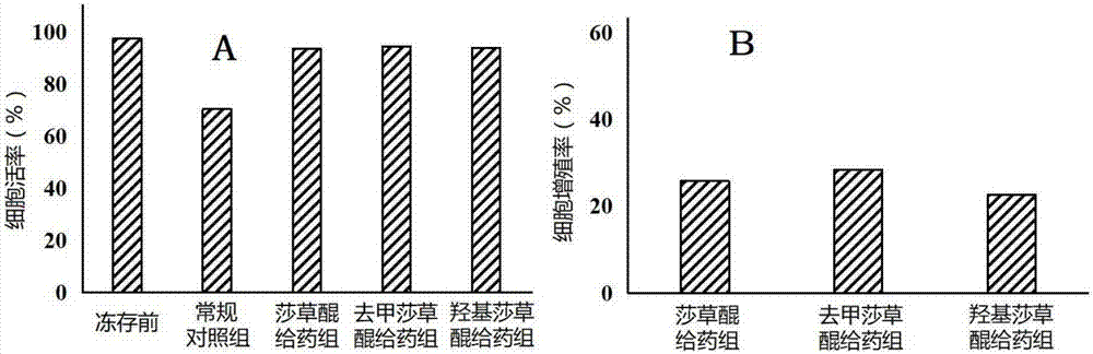 Double-open-loop derivatives and preparation methods of cyperapuinone and analogues and application in CIK cell culture