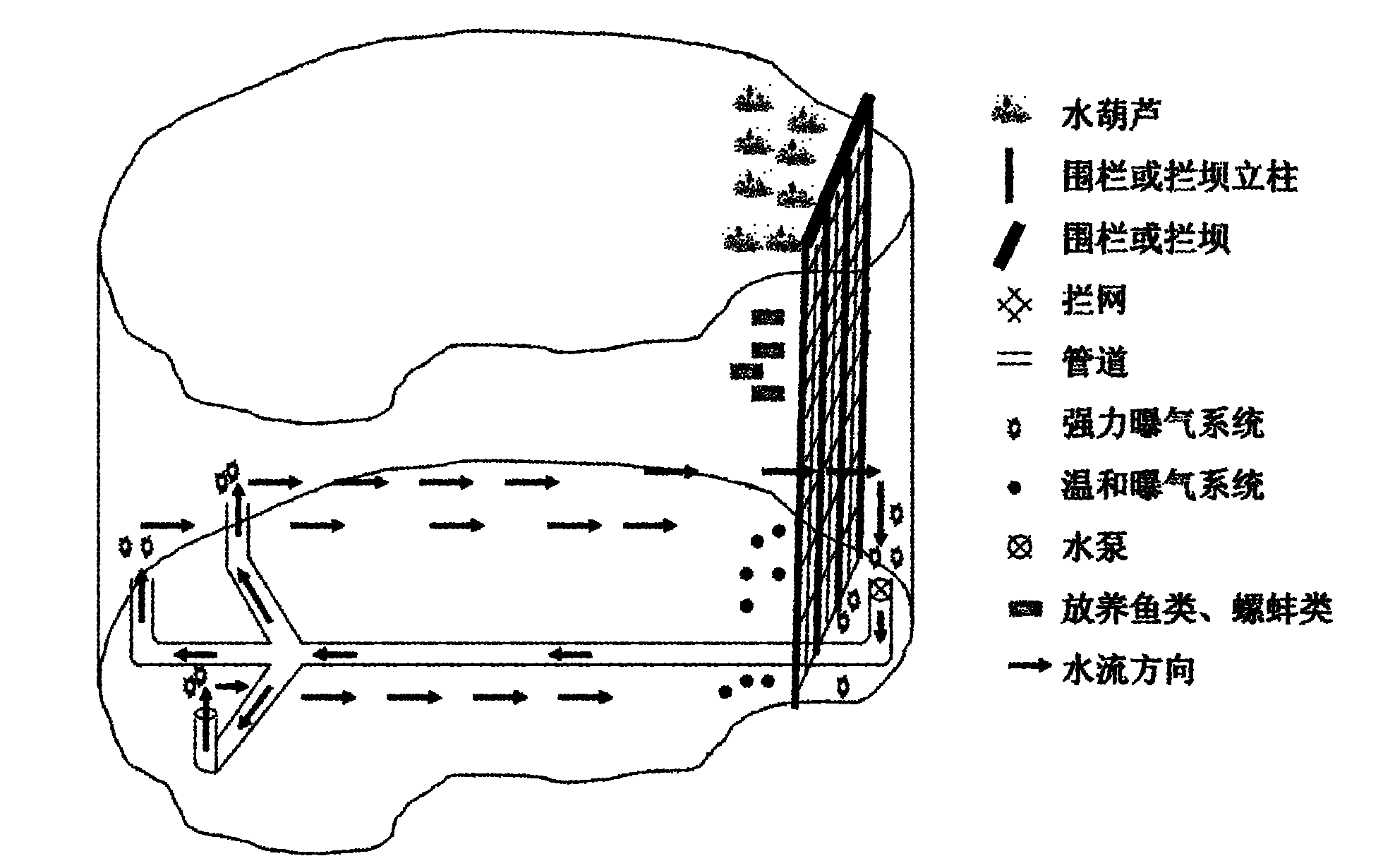 Method for treating polluted water body by using water hyacinths