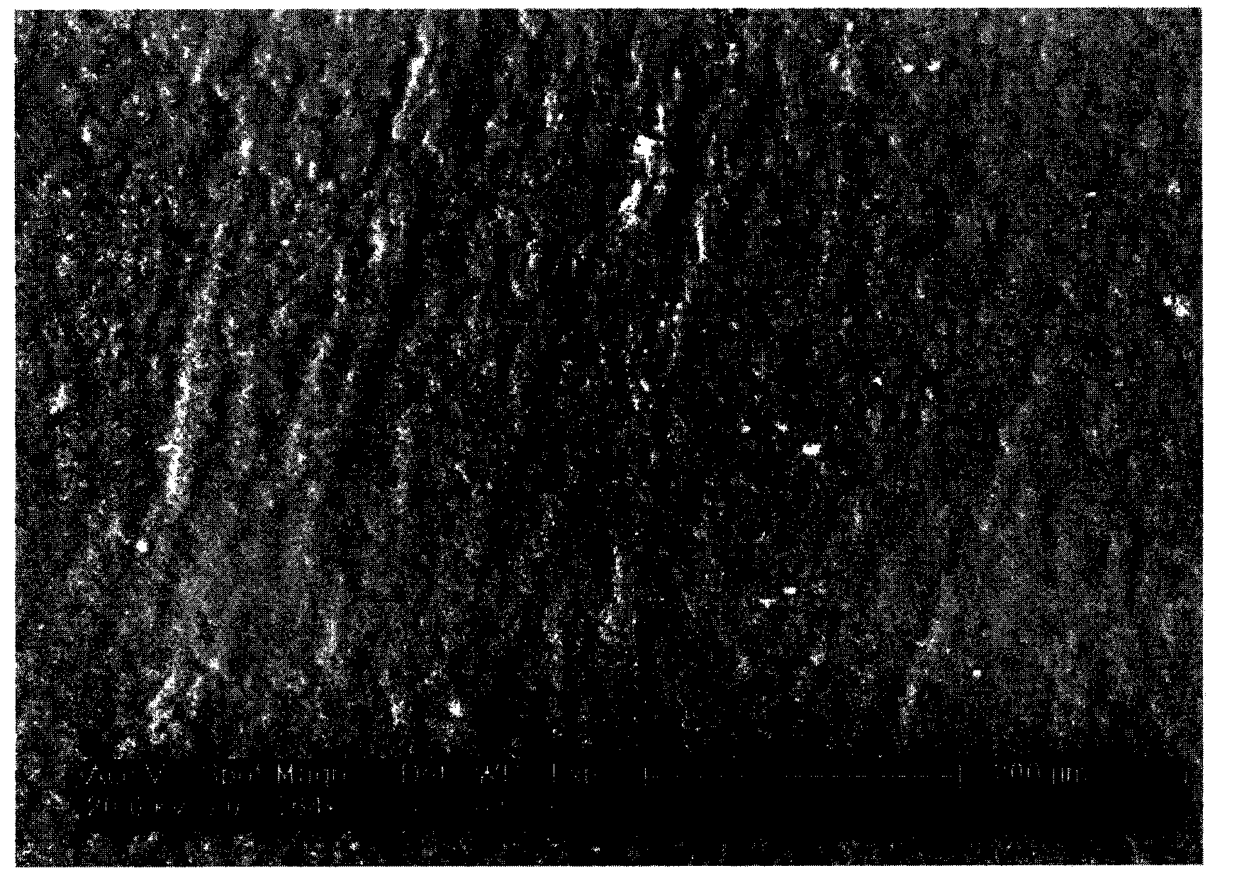 Surface modification method of bio-absorbable material implanted in polyester