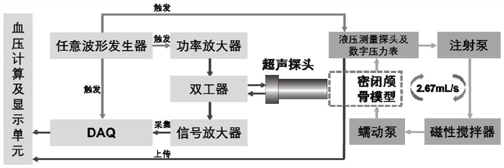 SonoVue-based non-invasive transcranial ultrasonic blood pressure measuring device and method