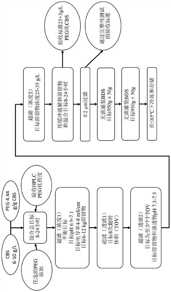 PEGylated cystathionine beta synthase for enzyme therapy for treatment of homocystinuria