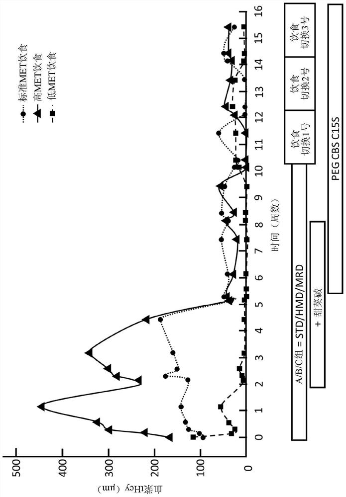 PEGylated cystathionine beta synthase for enzyme therapy for treatment of homocystinuria