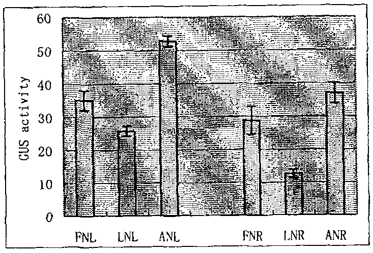 Method for accelerating vegetation in low-nitrogen condition