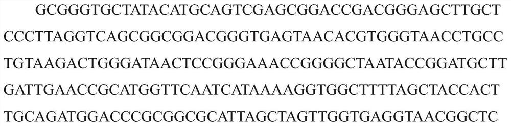 Bacillus licheniformis mes816 and its products and applications