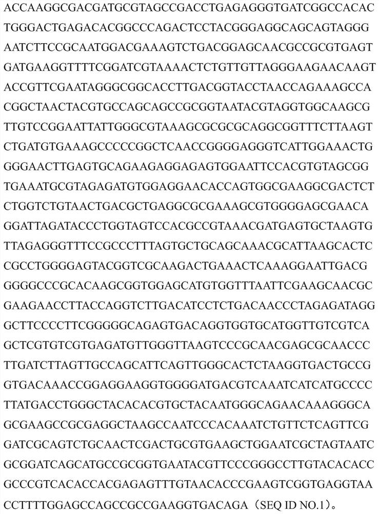 Bacillus licheniformis mes816 and its products and applications