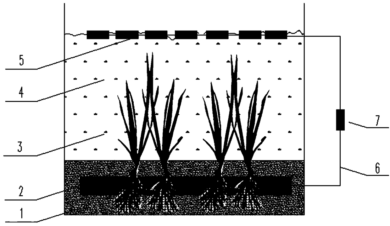 Method and device for repairing black and smelly water body in situ by utilizing microbial fuel cell and aquatic plants