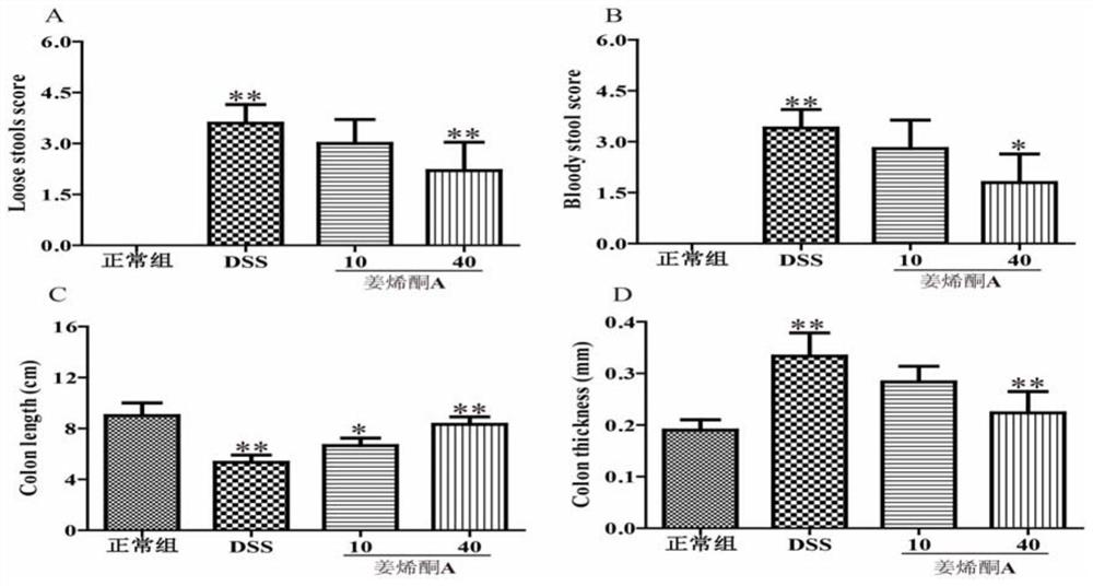 Application of zingerenone a in the preparation of drugs for preventing and treating colitis