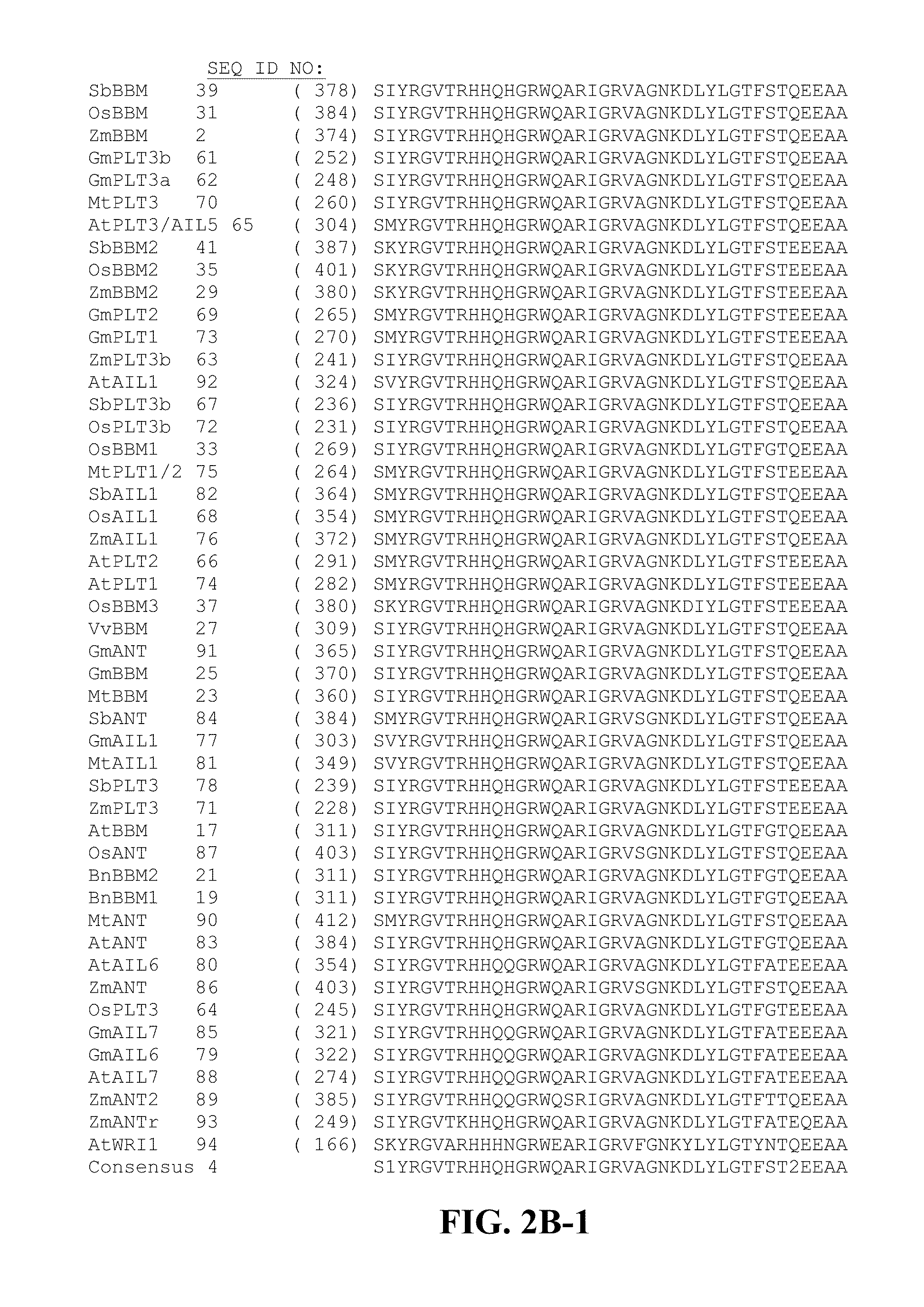 Methods and compositions for targeted polynucleotide modification