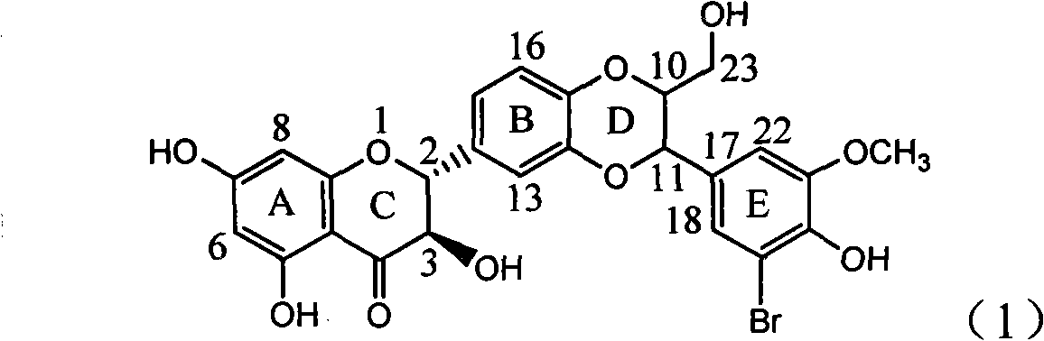 Application of E ring bromine substituted silybin to preparing glycosidase inhibitors