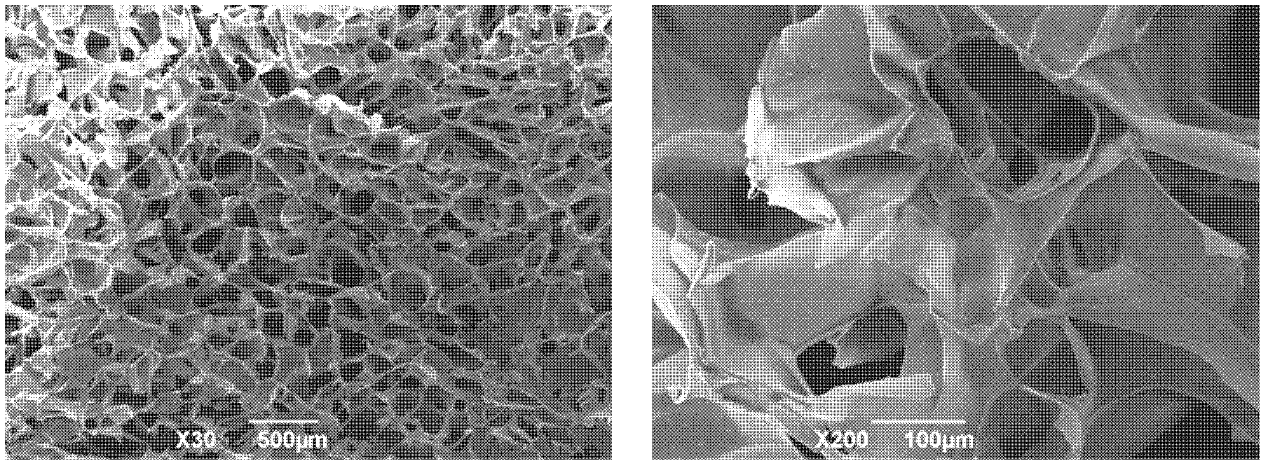 Preparation method for chitosan-based porous scaffolds with biological activity