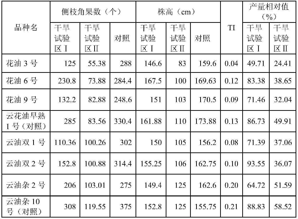 A method for identifying the drought tolerance of early-maturing rapeseed flowering stage under field conditions