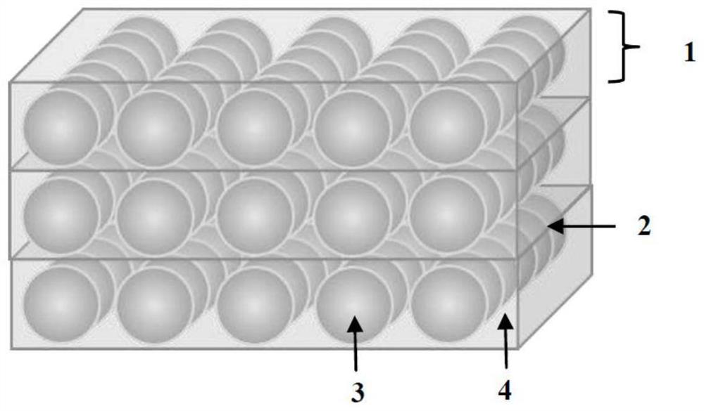 A kind of magnetic nano particle composite film and preparation method thereof