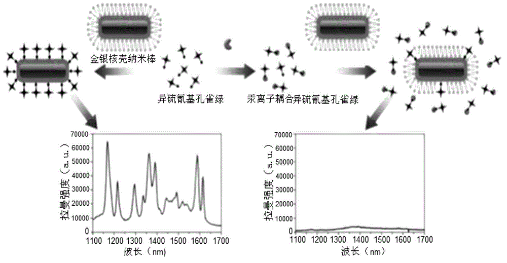 Preparation method and application of mercury ion probe