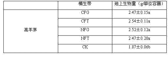 Method for employing lawn nursery strip to adjust Festuca arundinacea water-stress protective enzyme