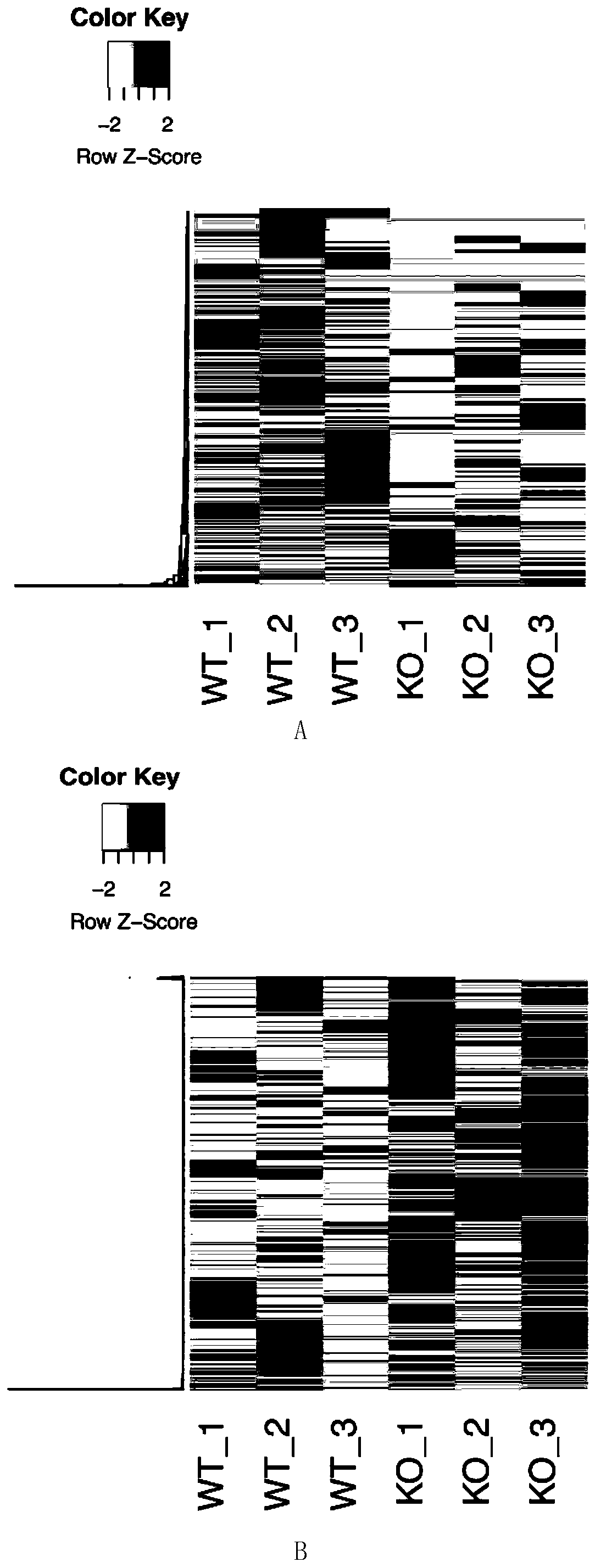 Multi-omics sequencing and analyzing method based on Nanopore sequencing technology