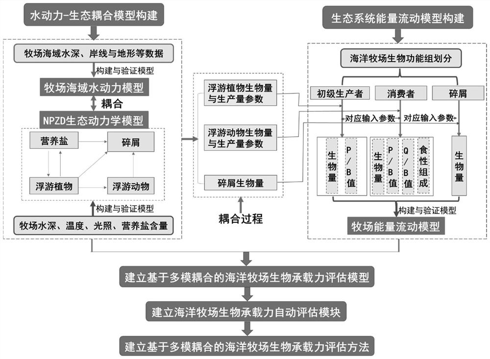 Method, device and system for evaluating biological bearing capacity of marine ranch