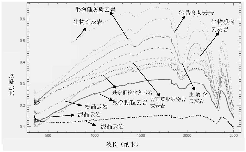 ASD spectrum-based carbonate rock lithology identification method and device