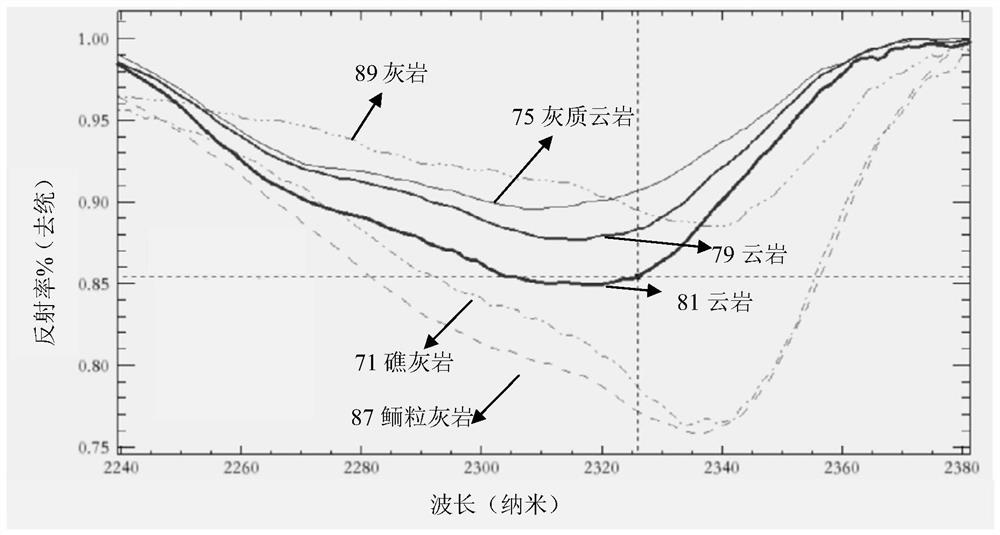 ASD spectrum-based carbonate rock lithology identification method and device