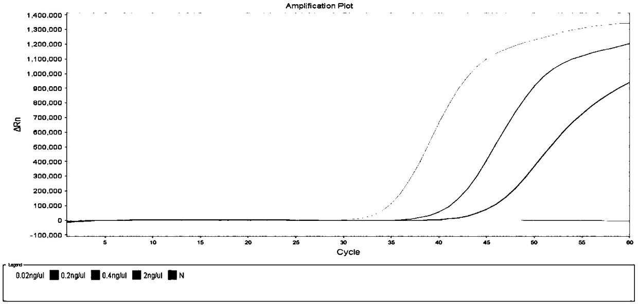 A fluorescence LAMP detection method for Cryptosporidium parvum