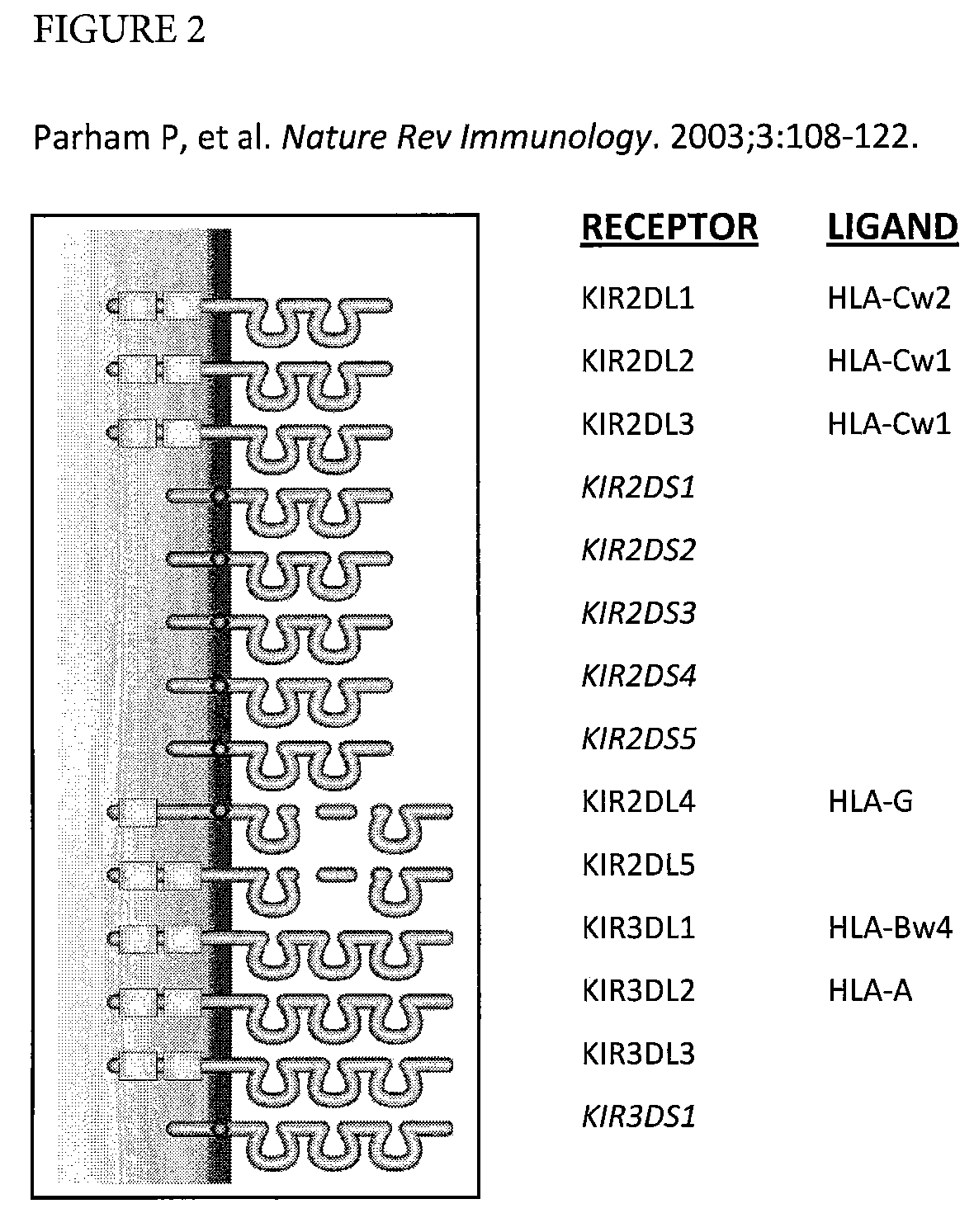 Determination of KIR haplotypes associated with disease