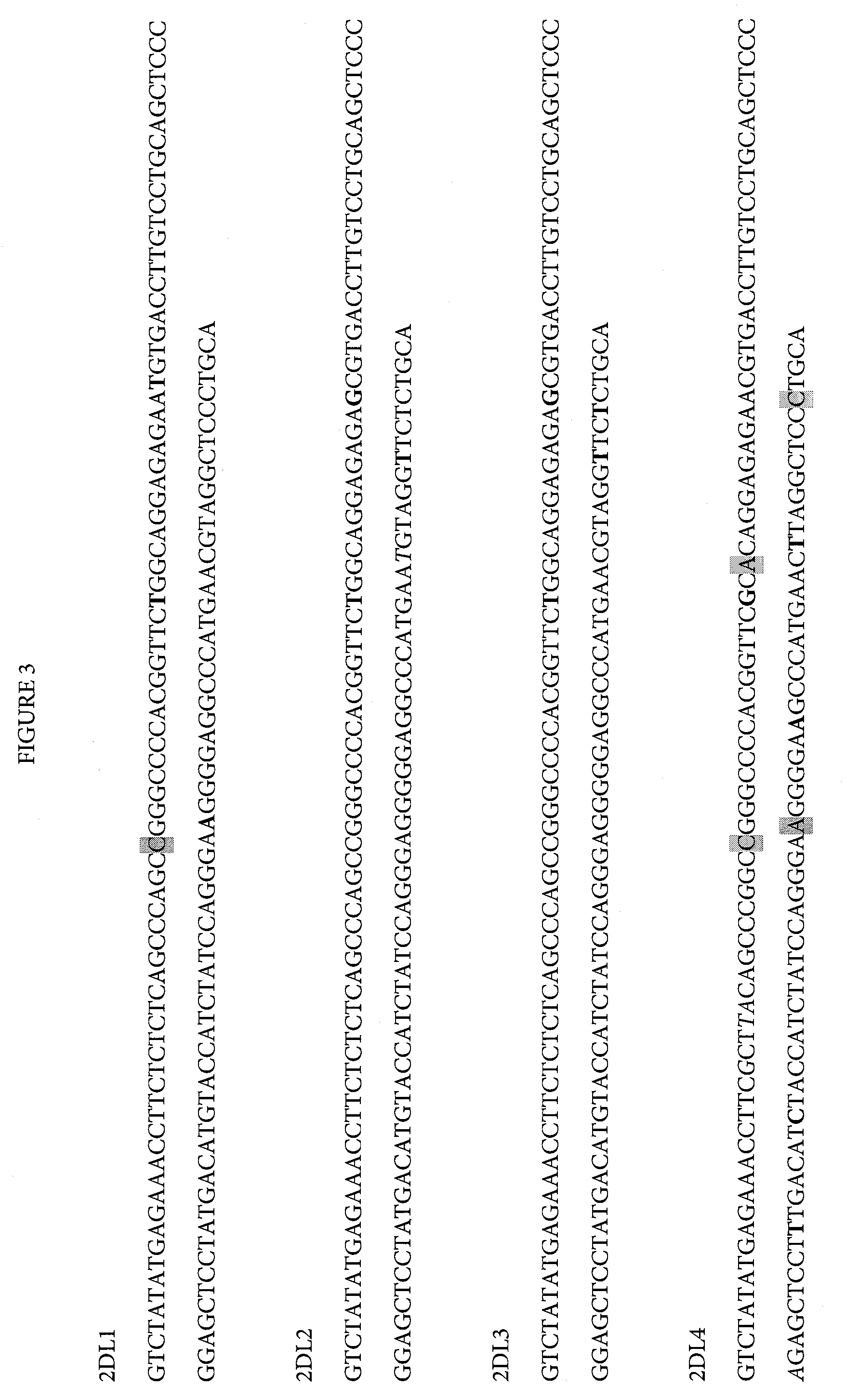 Determination of KIR haplotypes associated with disease