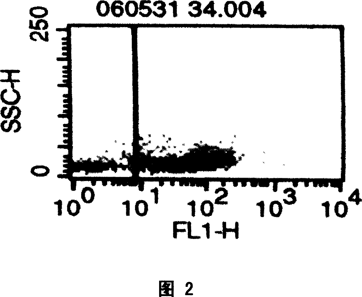 Donor type hemopoietic chimera and its prepn process