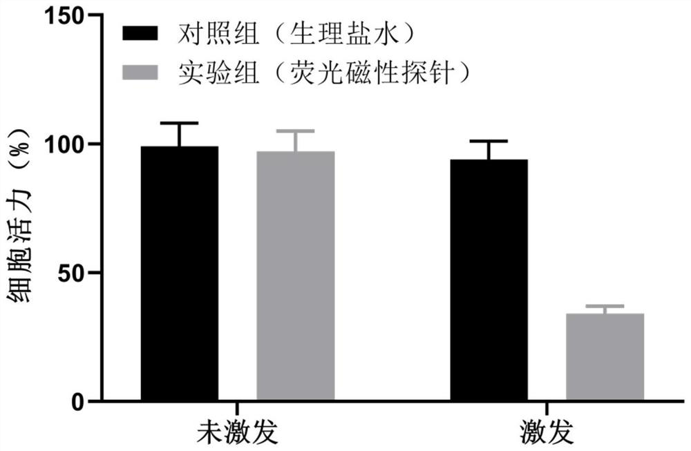 Porous magnetic diagnosis and treatment agent, preparation method and use