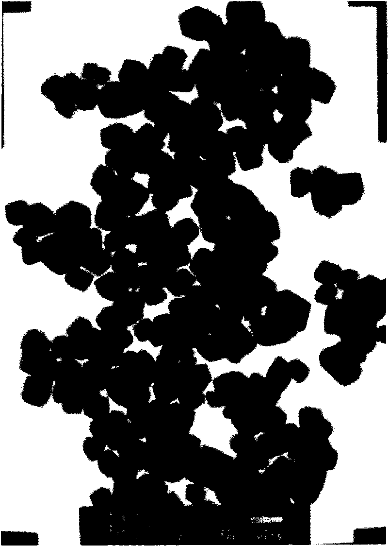 Method for manufacturing nano calcium carbonate from high-concentration carbon dioxide industrial exhaust gases