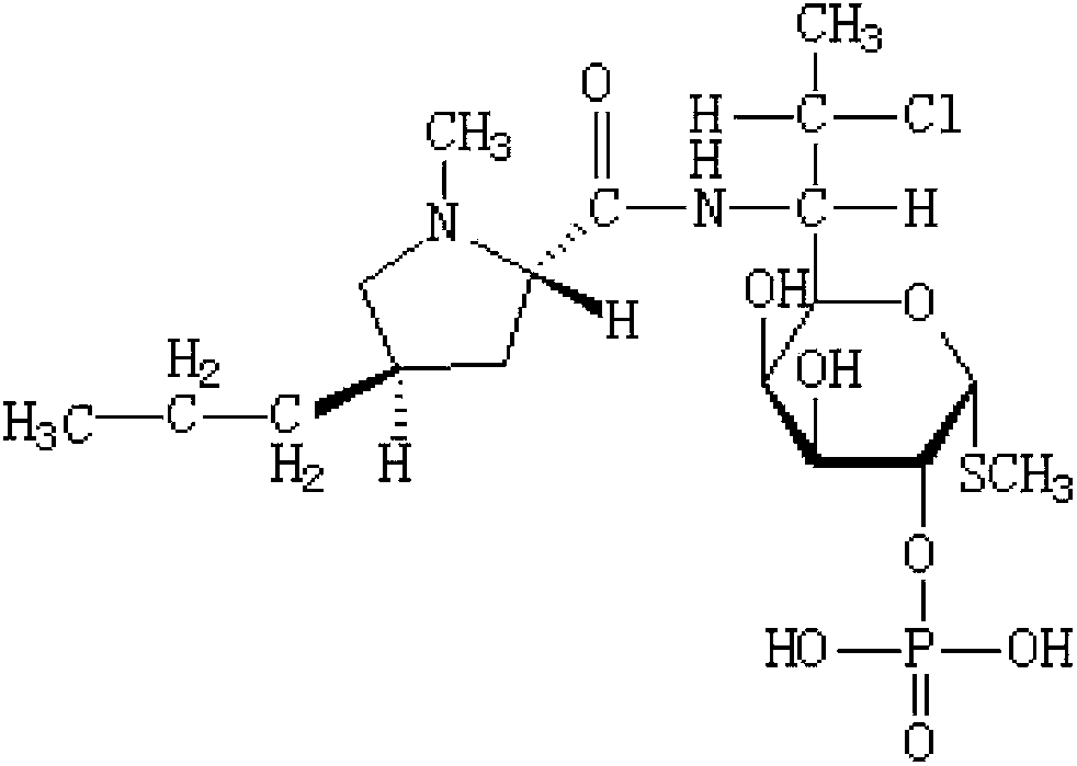 Clindamycin phosphate injection composition and preparation method thereof