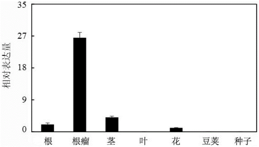 New application of cell wall expansion protein gene gmexpb6